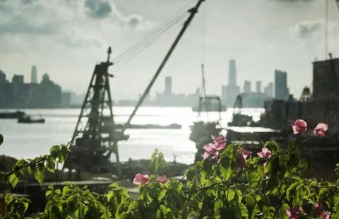 Beautiful construct Stock Photos