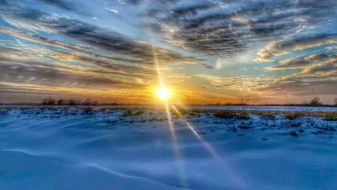 Beautiful Cornfield Winter Sunset Animated Cinemagraph Stock Footage 262980197