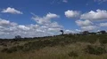Beautiful countryside landscape with flying stork to nest in Portugal 4k or 4k+ Resolution