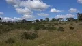 Beautiful countryside landscape panning with stork nest in Portugal 4k or 4k+ Resolution