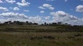 Beautiful countryside landscape panning with stork nest in Portugal 4k or 4k+ Resolution