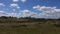 Beautiful countryside landscape zoom with blue sky and clouds in Portugal 4k or 4k+ Resolution