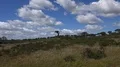 Beautiful countryside landscape zoom in with stork nest in Portugal 4k or 4k+ Resolution