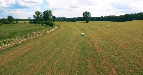 Beautiful countryside view. Forest, fields, outdoor. Aerial. 4K Видео 136210386