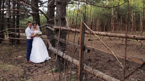 Beautiful couple. Vidéo 106007881