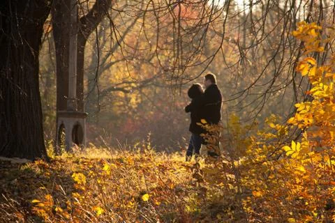 Beautiful couple hugging in autumn park Stock Photos