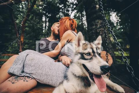 Beautiful couple together with dog on a swing Stock Photos