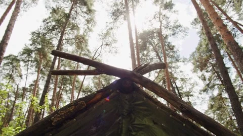 Beautiful creative handmade tree house for kids in backyard of a house or wild Stock Footage 254116179