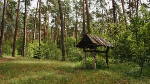 Beautiful creative handmade tree house for kids in backyard of a house or wild Stock Footage 254432307