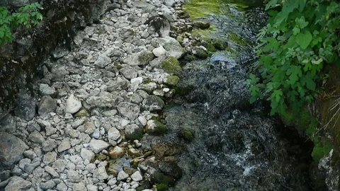Beautiful creek and rocks with green leaves Stock Footage