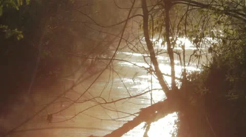 Beautiful Creek 스톡 동영상 12421691