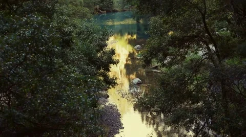 Beautiful creek Stock-Footage 42484911