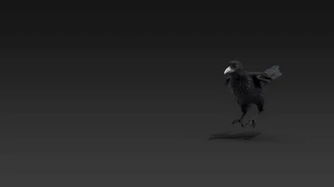 A beautiful crow jumping. 3d rendering. High quality 4k footage. 3D Illustration Video stock 254478040