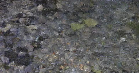 Beautiful crystal clear Comal Spring water rocky river bottom Texas 4K Vídeos de archivo 103432282