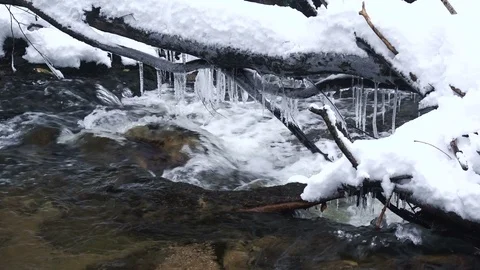 A beautiful crystal clear stream in winter with snow flows through woods Stock Footage 85631325