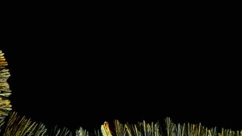 Beautiful crystal formation under the microscope, Paracetamolum solution Video stock 105926350