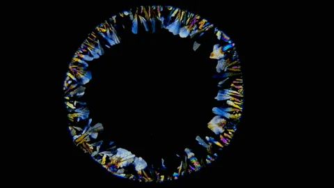 Beautiful crystal formation under the microscope, Paracetamolum solution Video stock 105968335