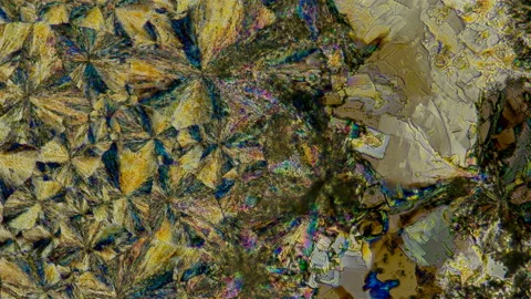 Beautiful crystals under the microscope Stock Footage 119888954