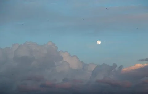 Beautiful cumulus clouds float across the evening sky with the setting sun on a Photos