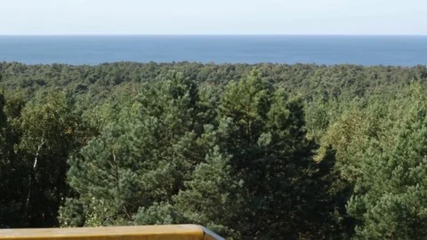 Beautiful Curonian Spit 库存影片 81292301