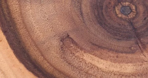 A beautiful cut of a walnut tree processed for decoration and use, a cut of a Stock Footage 275826077