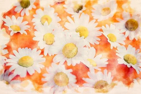 Beautiful daisies on an orange background Stock Illustration