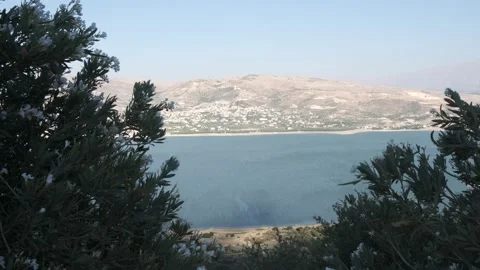 A beautiful dam with trees in the front shaking in the wind Stock Footage 229691245