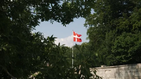 A Beautiful Danish Flag is Flapping Gracefully Amidst Lush Greenery on a Sunny Stock Footage 316231477
