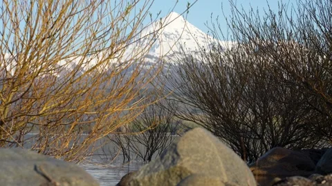 Beautiful Dappled light effect is projected on the bushes. Behind a mountai.. Stock Footage 289303131