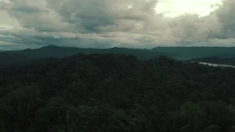 A beautiful dark cloudscape is hanging over a tropical forest after a rainy day Stock Footage 155418394