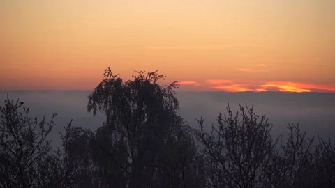 Beautiful dawn landscape view of trees with a cloudy sunrise view developing Vidéo 239068056