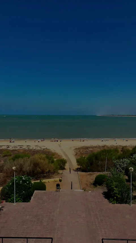 Beautiful day at the beach 動画素材 316181987