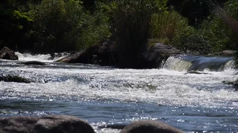 A beautiful day on the Bug Stock Footage 62550146