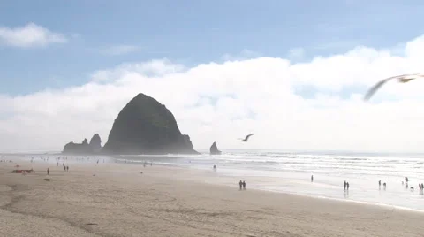 Beautiful Day At Cannon Beach Stock Footage 62272675