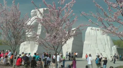 Beautiful day at MLK Memorial, Cherry Blossoms, DC Vídeos de archivo 10853422