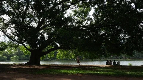 Beautiful day in the park Stock Footage 72589352