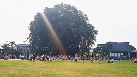 Beautiful day at the park 動画素材 243569064