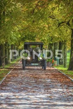 Beautiful day in a park Stock Photos