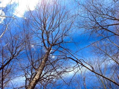 A Beautiful Day 写真素材