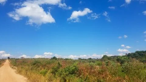 Beautiful day Stock Photos