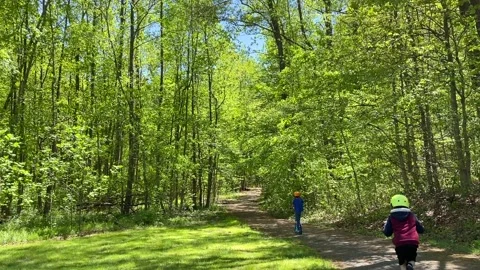 Beautiful day for ride through the trees Stock Footage 242384672