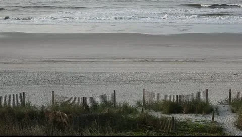 Beautiful day to spend at the beach Stock Footage 11123276
