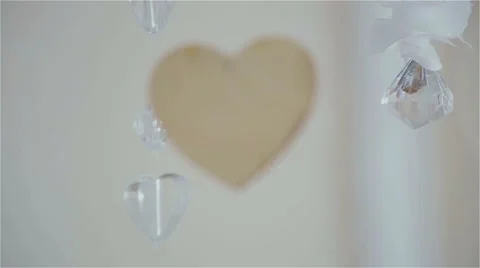 Beautiful decor in the studio Stock Footage 49742208