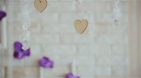 Beautiful decor in the studio Stock Footage 49742651