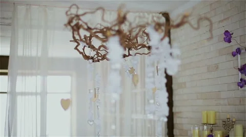 Beautiful decor in the studio Stock Footage 49742812