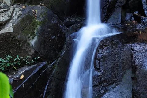 Beautiful deep forest waterfall Foto stock