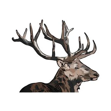 Beautiful deer shots Stock Illustration