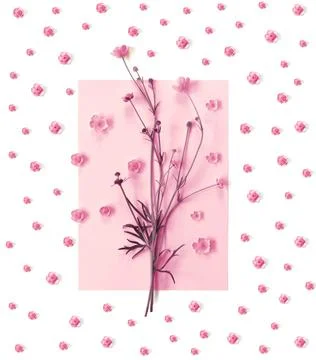 Beautiful delicate postcard with pattern of yellow buttercup flowers for holi Stock Photos