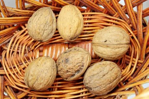 Beautiful delicious walnuts lie in a wicker basket Stock Photos