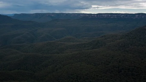 Beautiful dense forest and mountain at sunset Video stock 94884571